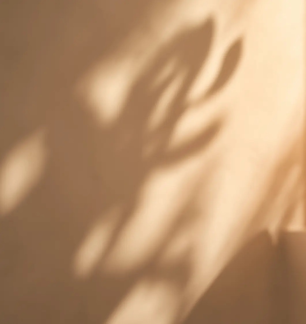 Weiche Blätterschatten an einer Wand